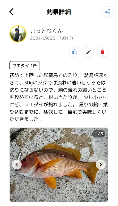 釣りドコ紹介