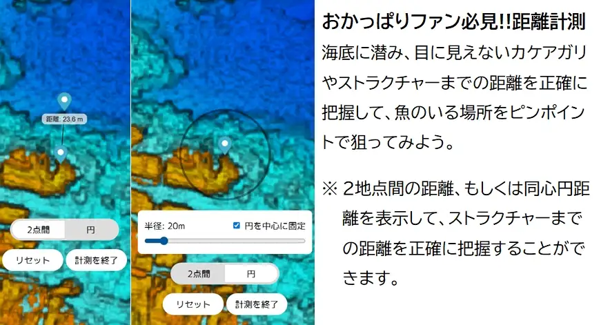 距離計測機能画像