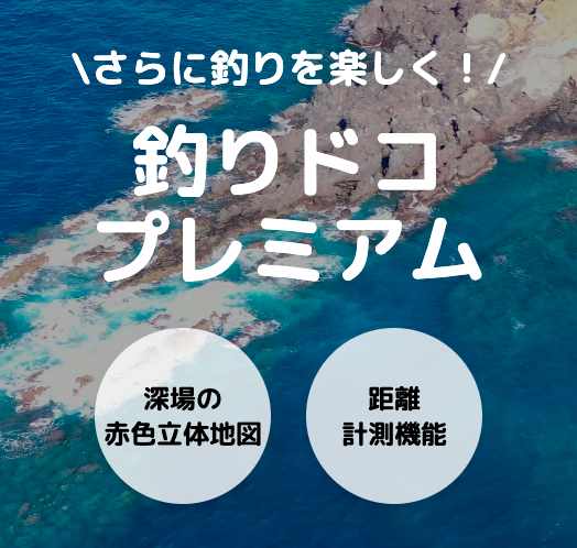 有料プラン紹介