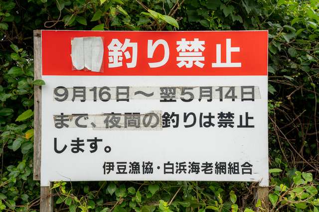 サムネイル 3