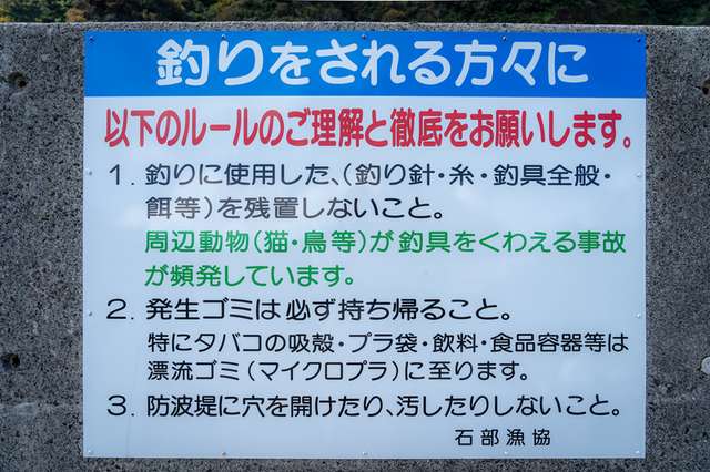 サムネイル 2