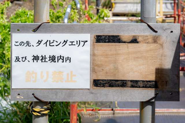 サムネイル 3