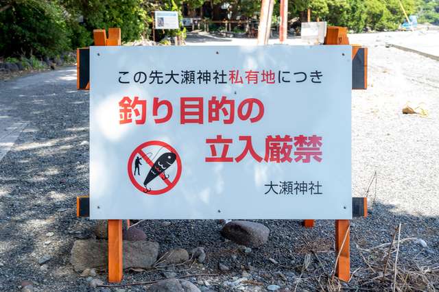 サムネイル 5